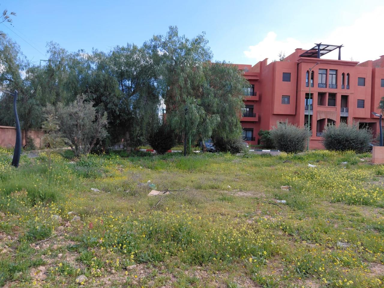 Building Your Dream: Construction-Ready and Titled Land