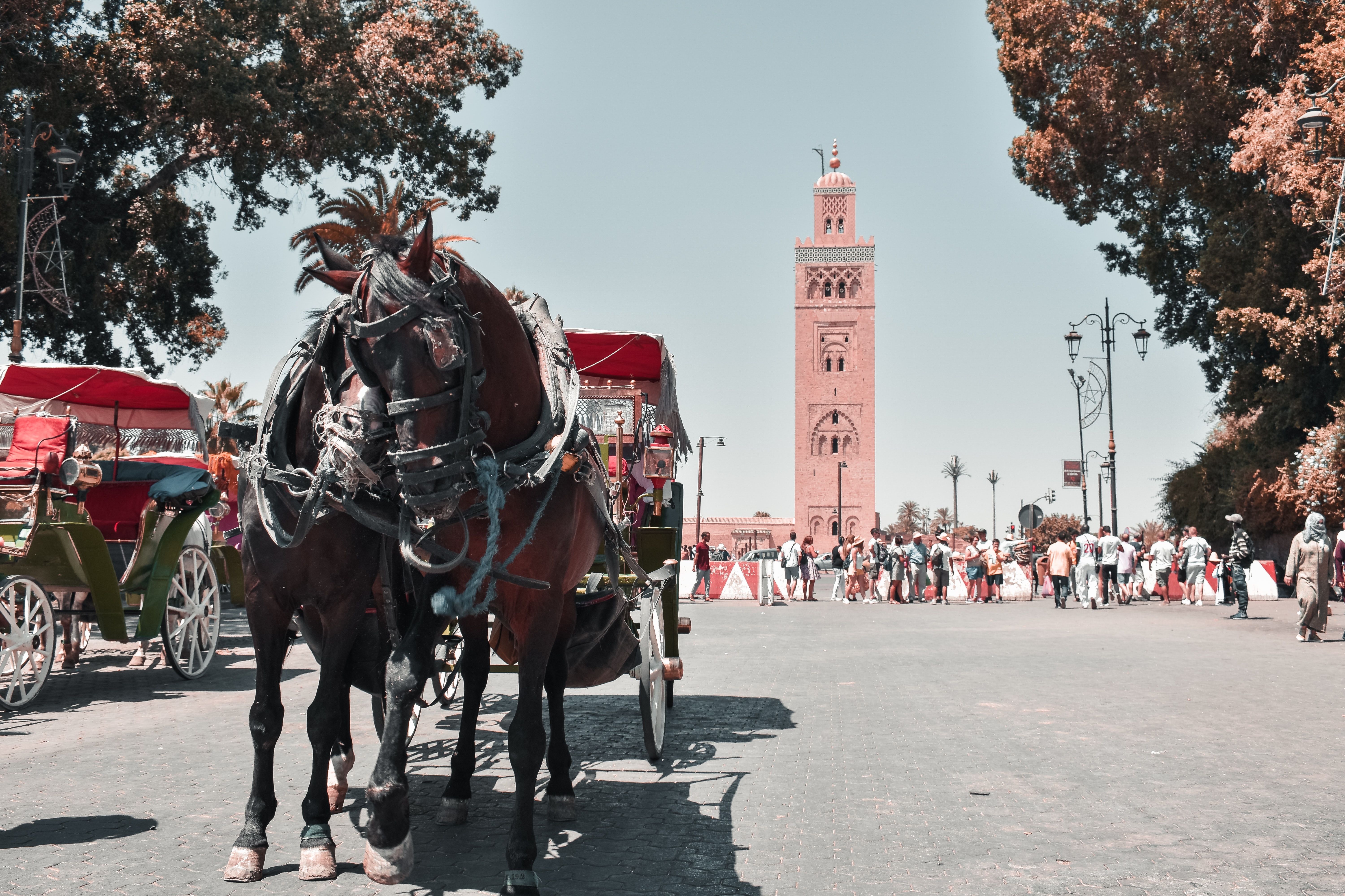 Est-il sécurisé de vivre au maroc?