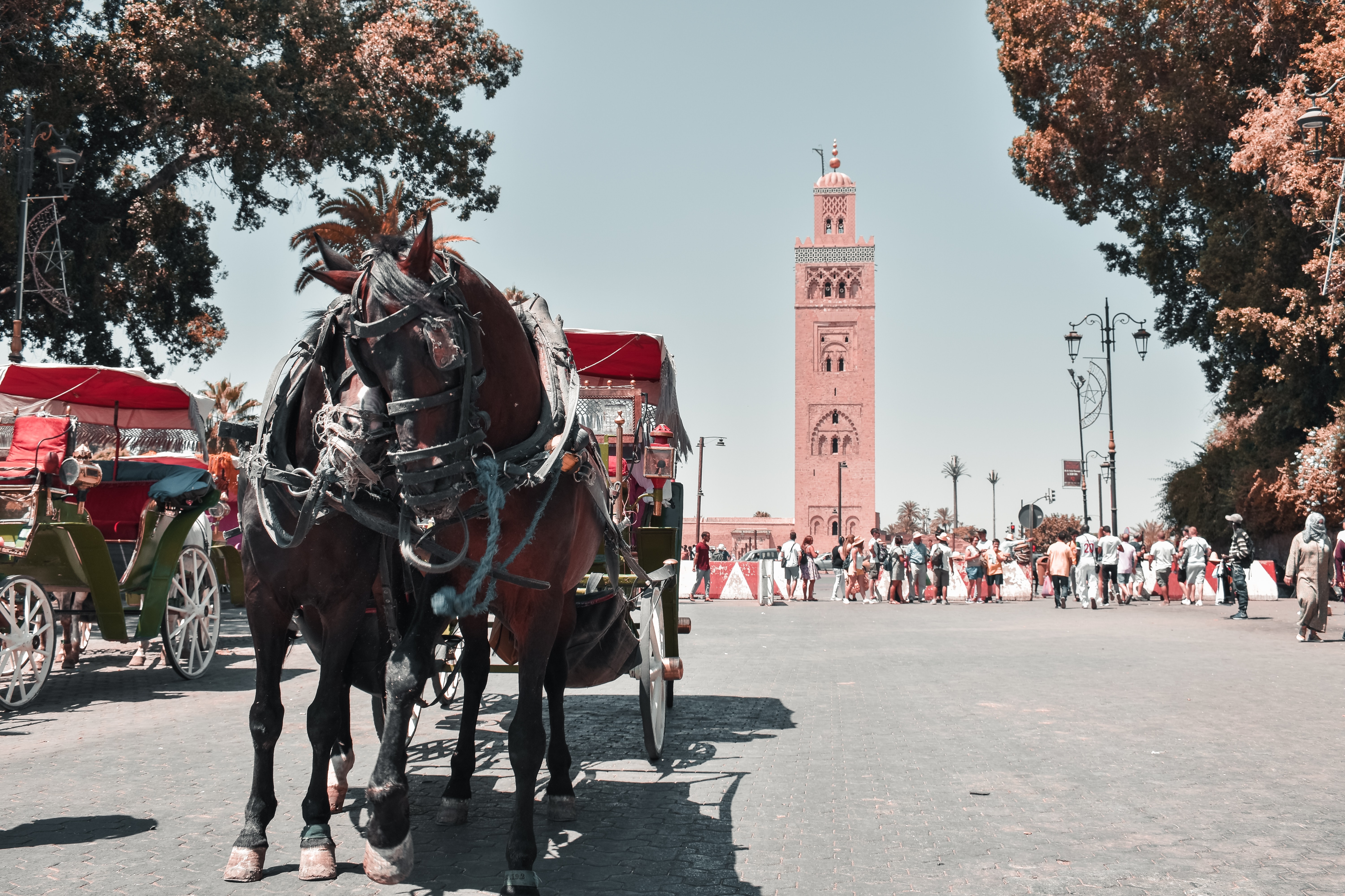 Est-il sécurisé de vivre au maroc?  