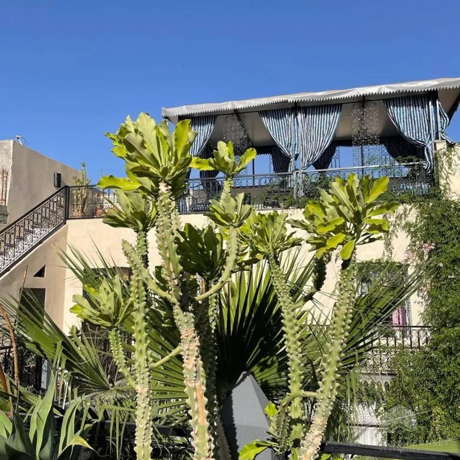 Beautiful 7 bedroom Riad in Marrakech Medina